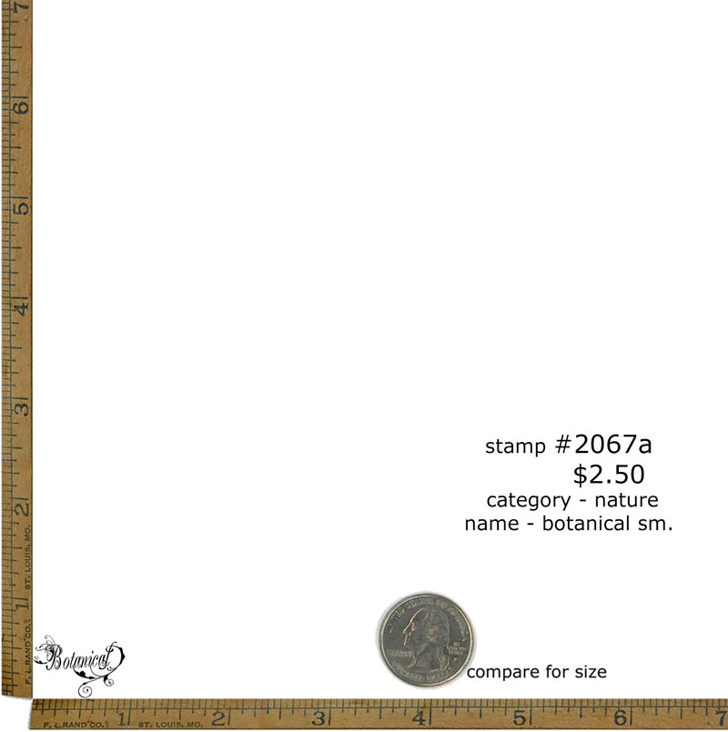 #2067a - Botanical Sm. - Nature